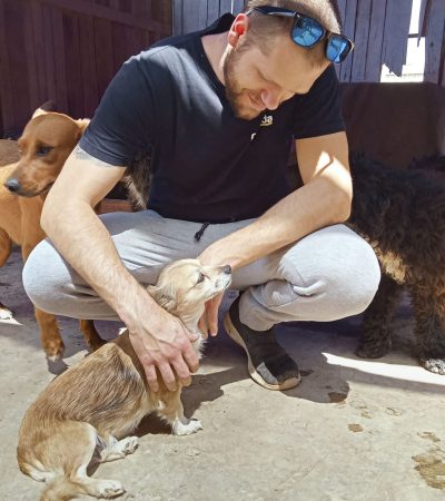 Albergue-de-perros-y-gatos-Patitas-Unidas-210-scaled
