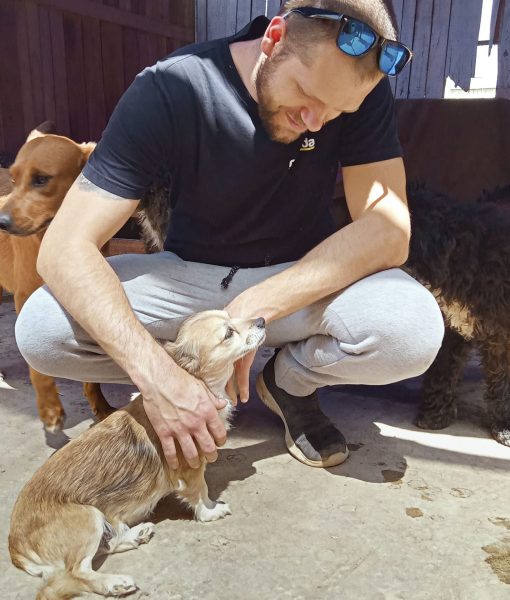 Albergue-de-perros-y-gatos-Patitas-Unidas-210-scaled